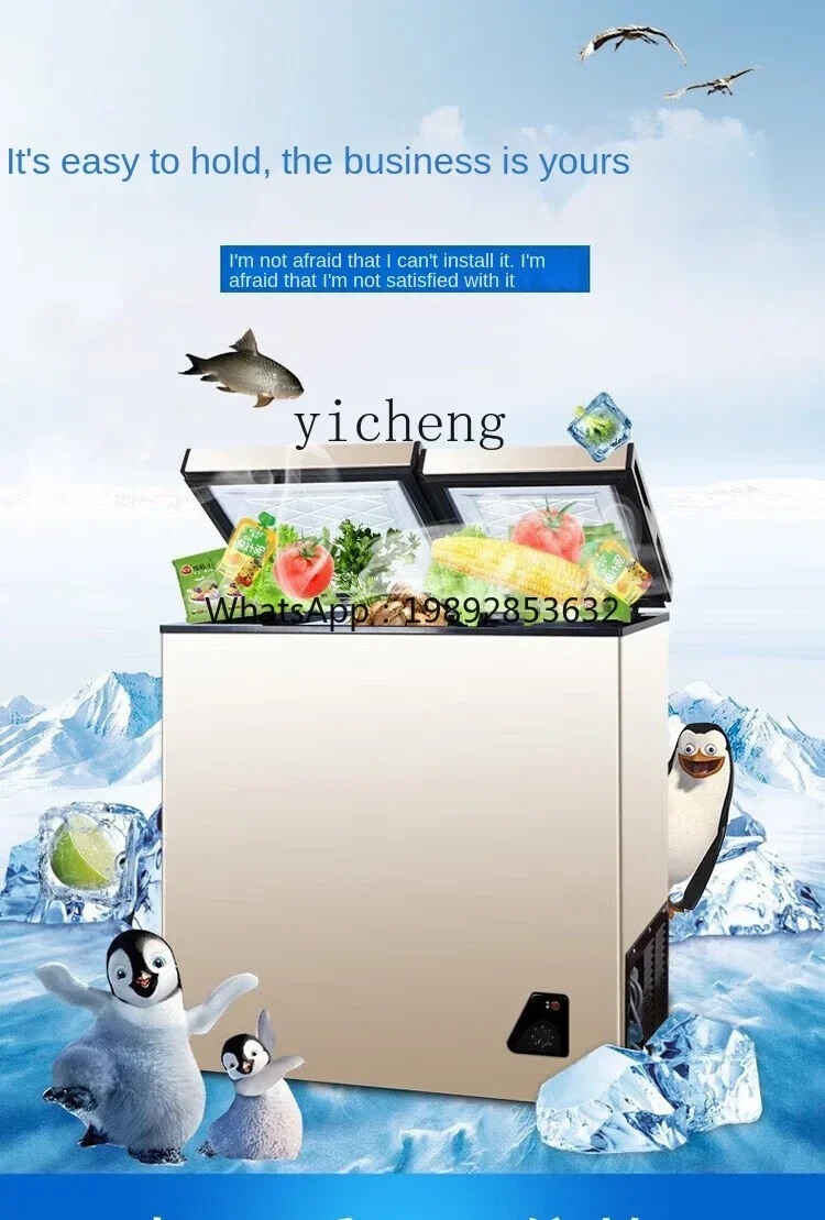 Food Storage Frozen - 가정용 소형 미니 절전형 무서리 이중