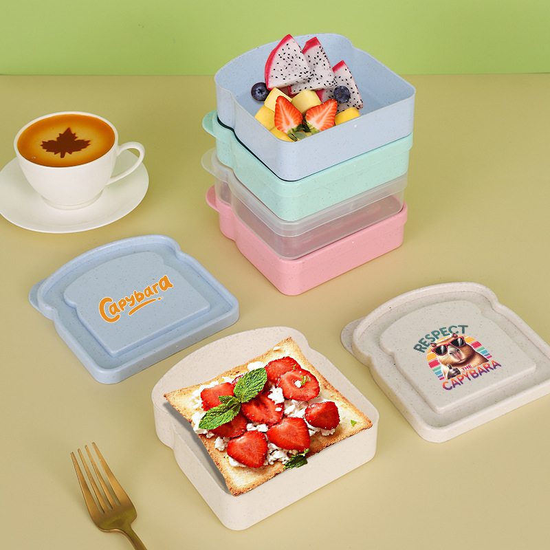 카피바라 샌드위치 음식 보관 케이스 컨테이너 샐러드 과 - Food Storage Equipment 리뷰 및 가격