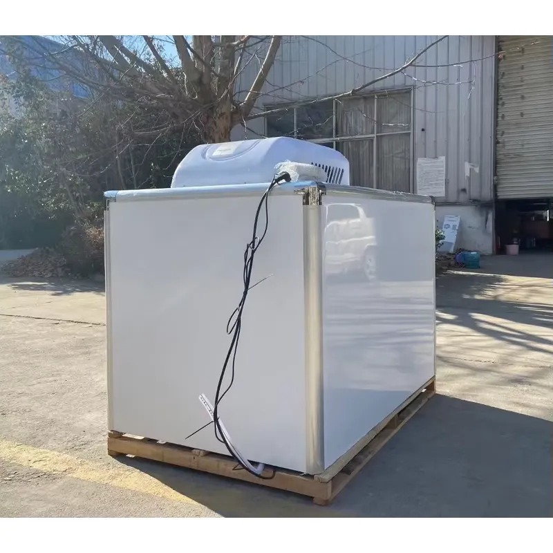 인기 상품: 삼륜차형 냉장 냉동 전기식 냉동고, 냉장  - Food Storage Refrigerator 리뷰 및 가격