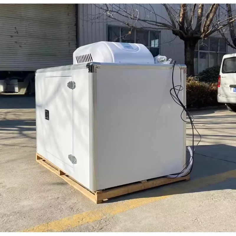 인기 상품: 삼륜차형 냉장 냉동 전기식 냉동고, 냉장  - Food Storage Refrigerator 리뷰 및 가격
